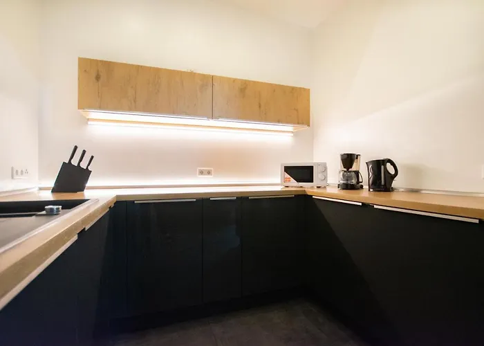 Tolstov - 250m2 Loft With 6 Im Industriegebiet - 20 Min Messe Dus & Old Town Dus 公寓